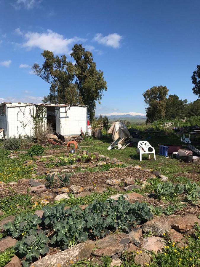 Natura-Eco Farm Exterior photo